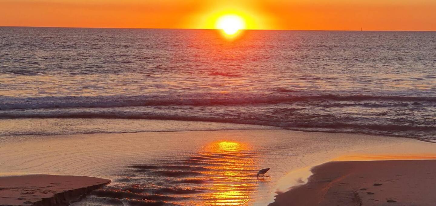 Sandcastles At The Beach Outstanding Location! Perth Esterno foto